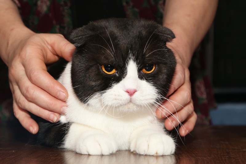 0 110bdd 30c7759c orig.jpeg