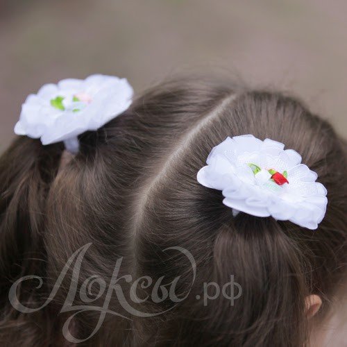      . . 2 . -354828-   91 ..JPG