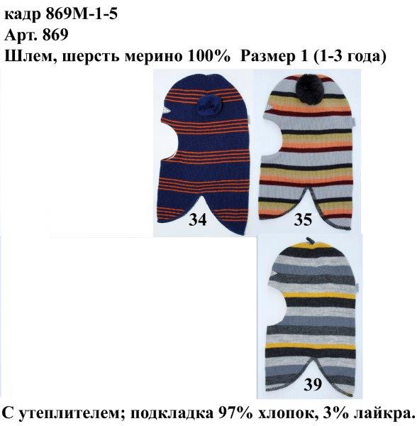 869М-1-5.jpg