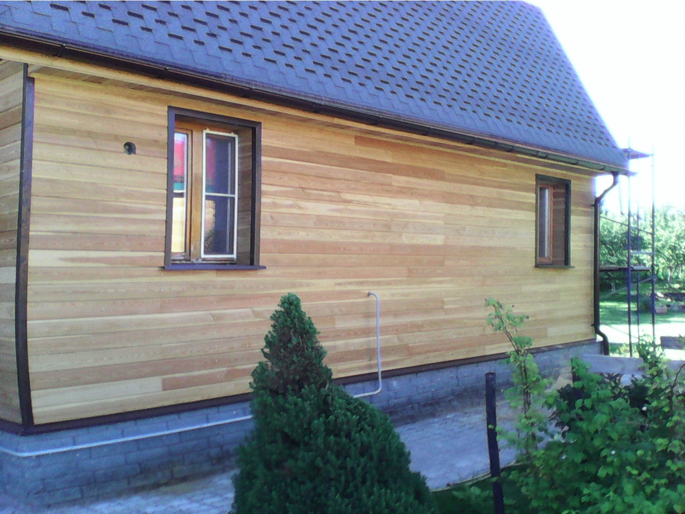 IMG 20150811 080442.jpg