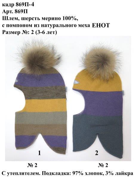 869П-4.jpg