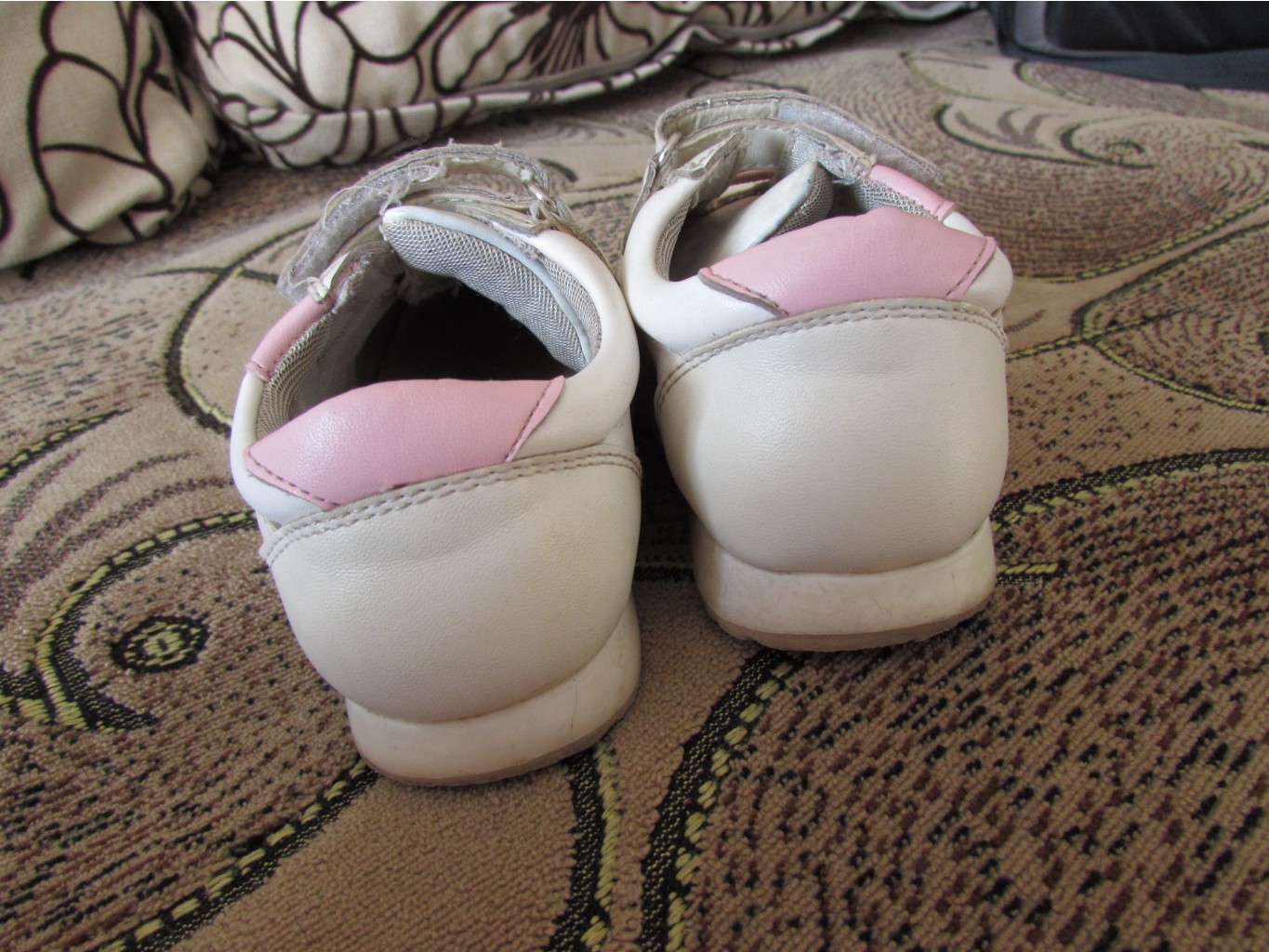 IMG 1538.JPG