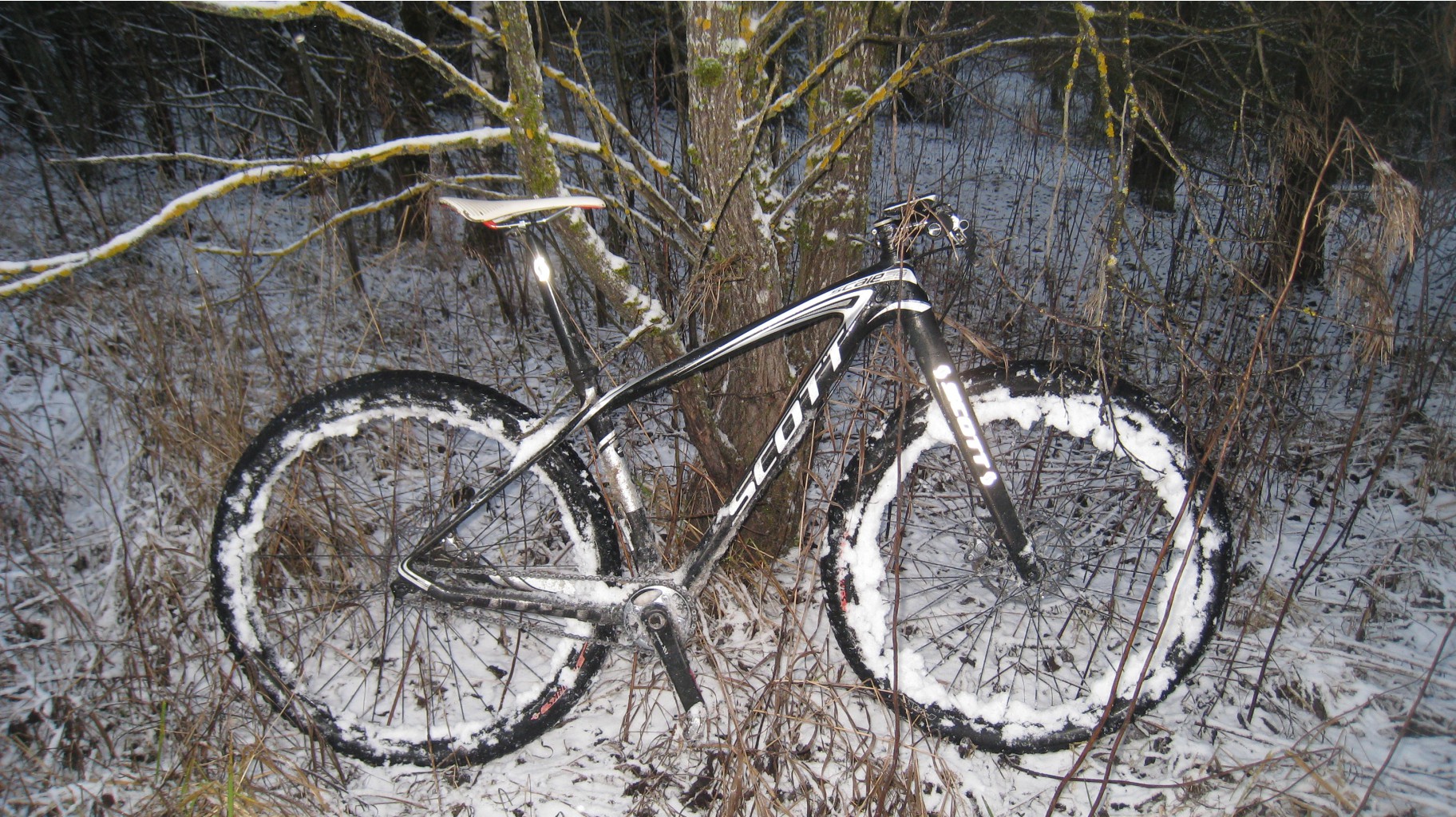 IMG 3523.JPG