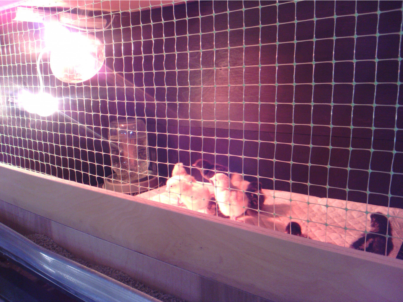 IMG 20160226 135736.jpg