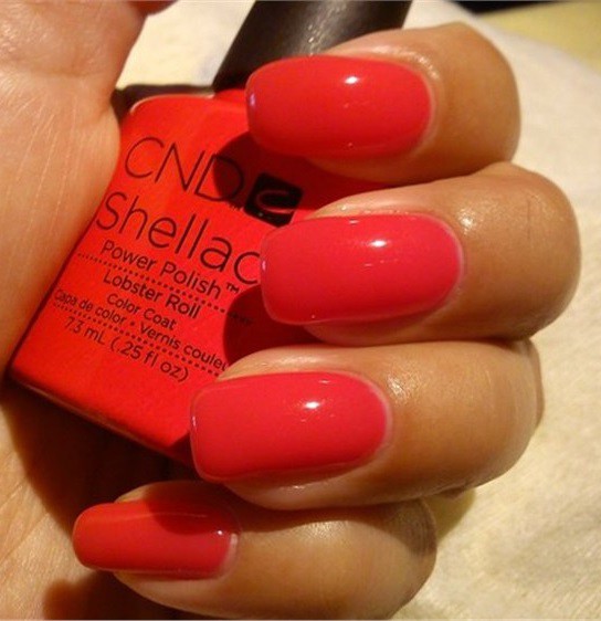 Shellac.Lobster Roll