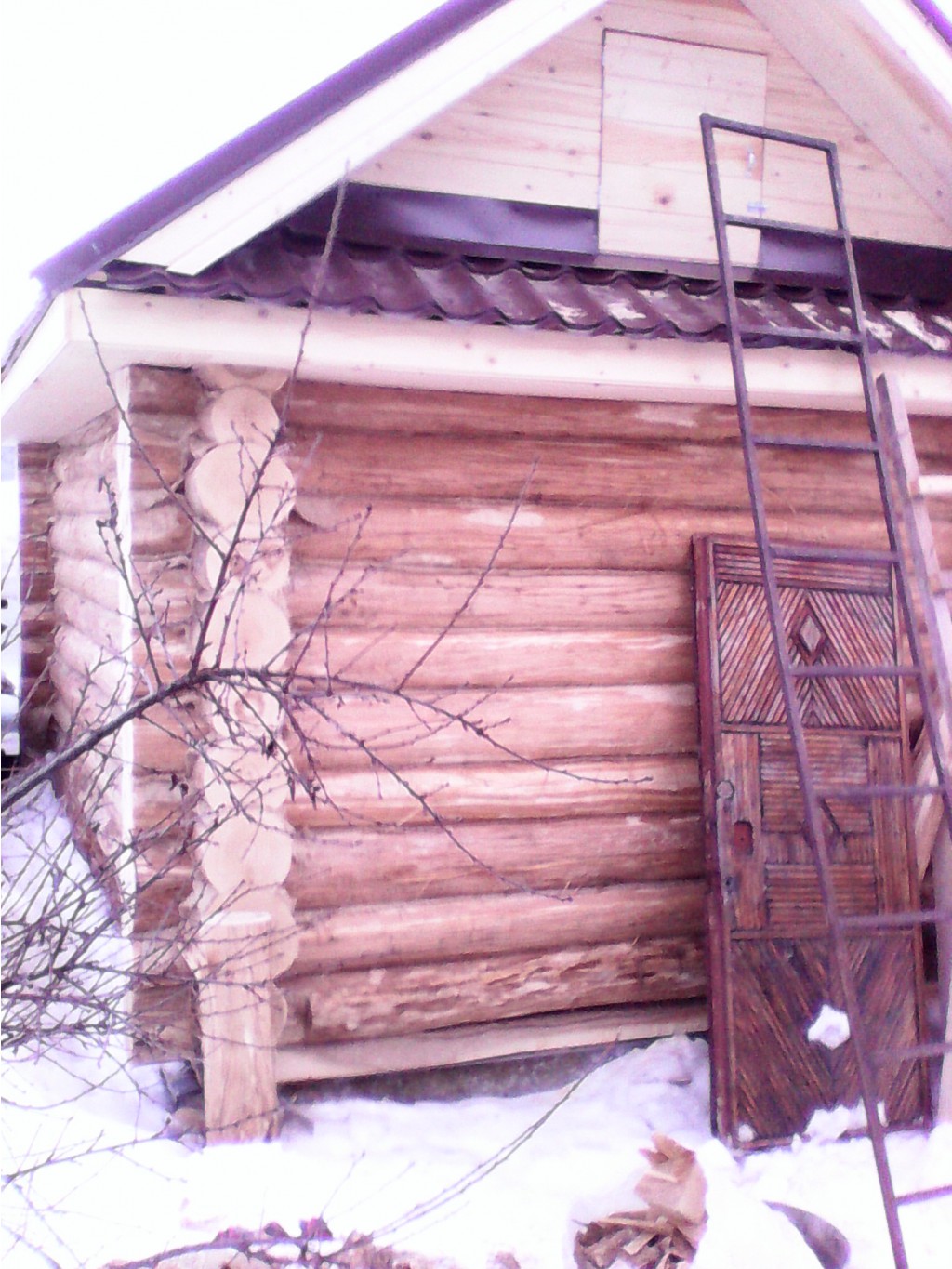 IMG 20160202 162940.jpg