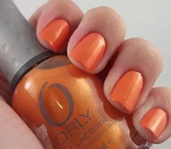 40658	658 ORANGE SORBET -