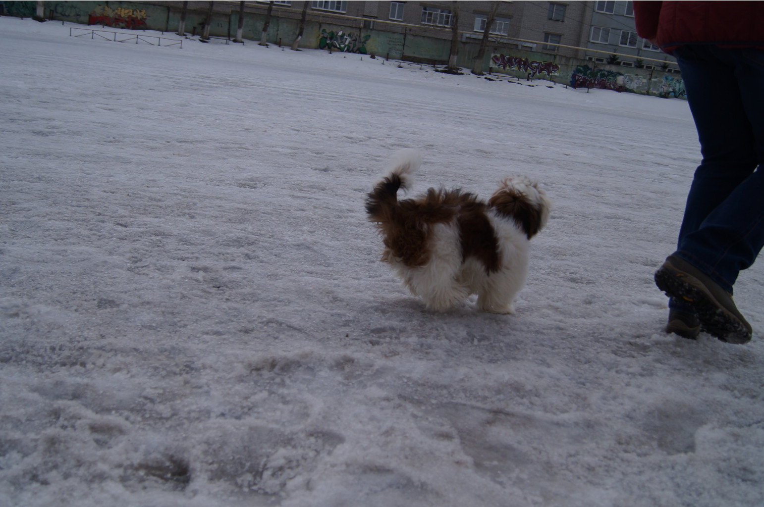 DSC04058.JPG