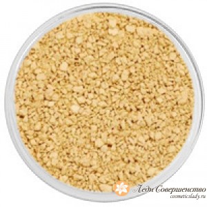  - Creamy Bisque ( LL) LM_40-160-330.jpg