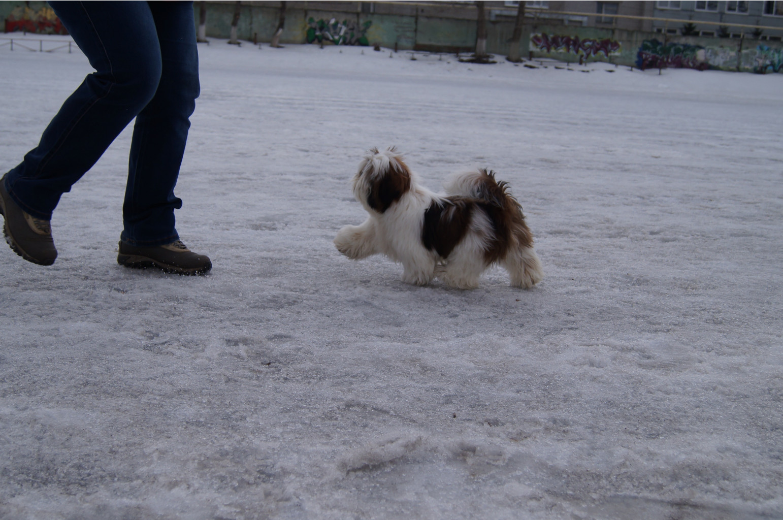 DSC04012.JPG