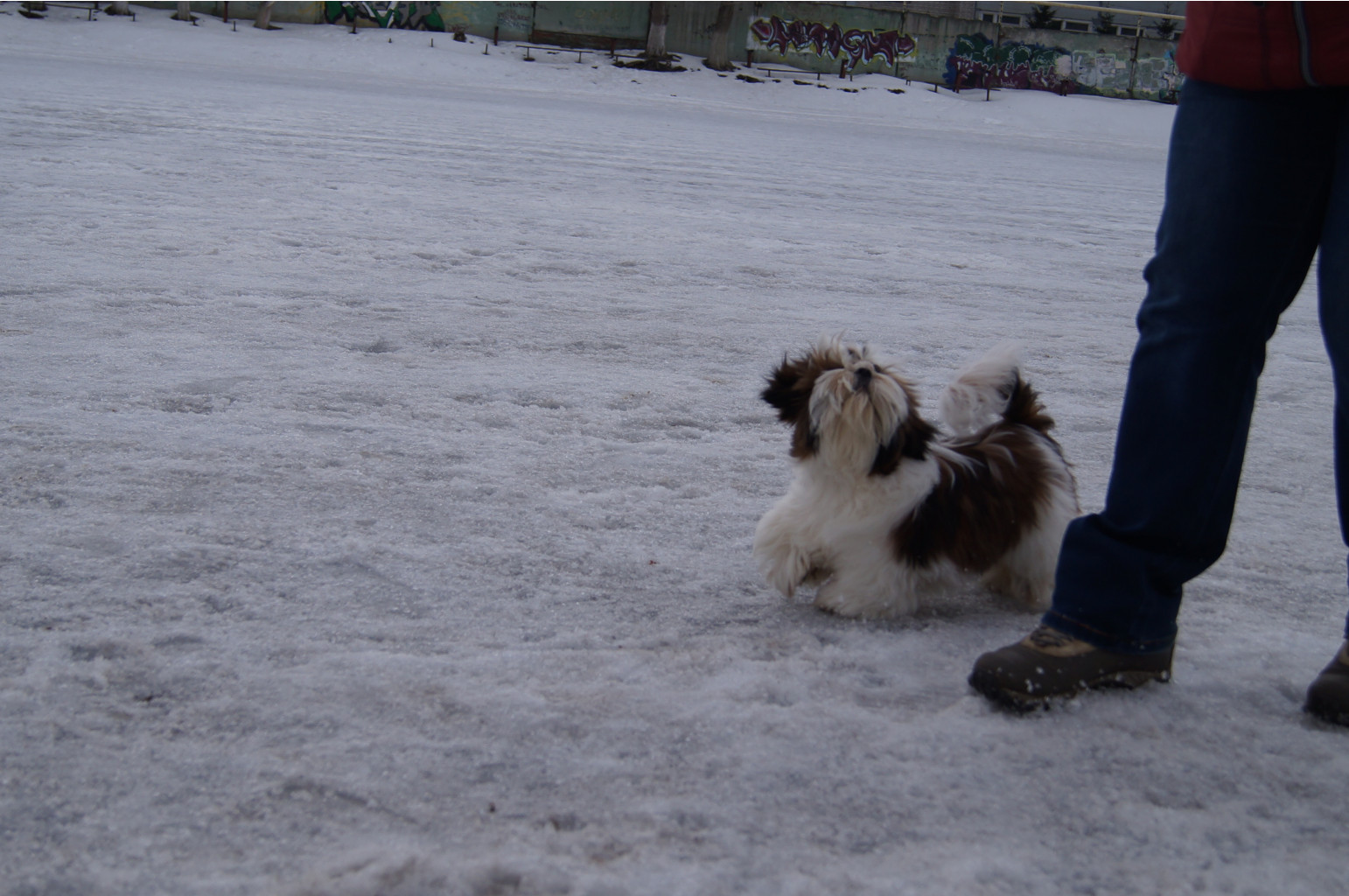 DSC04025.JPG