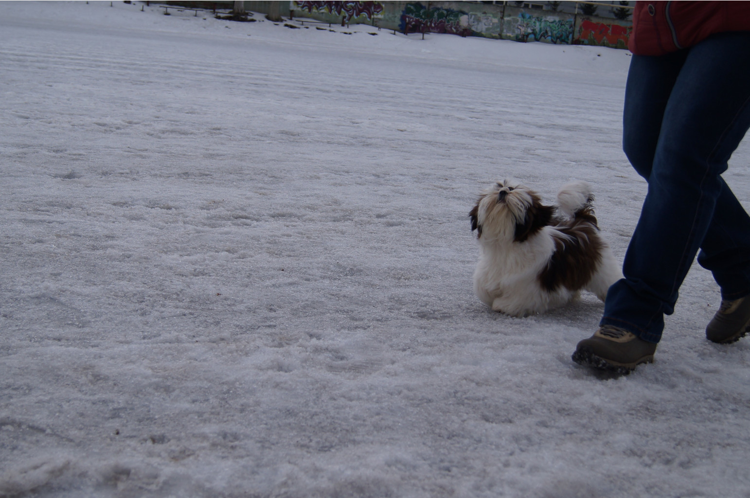 DSC04022.JPG