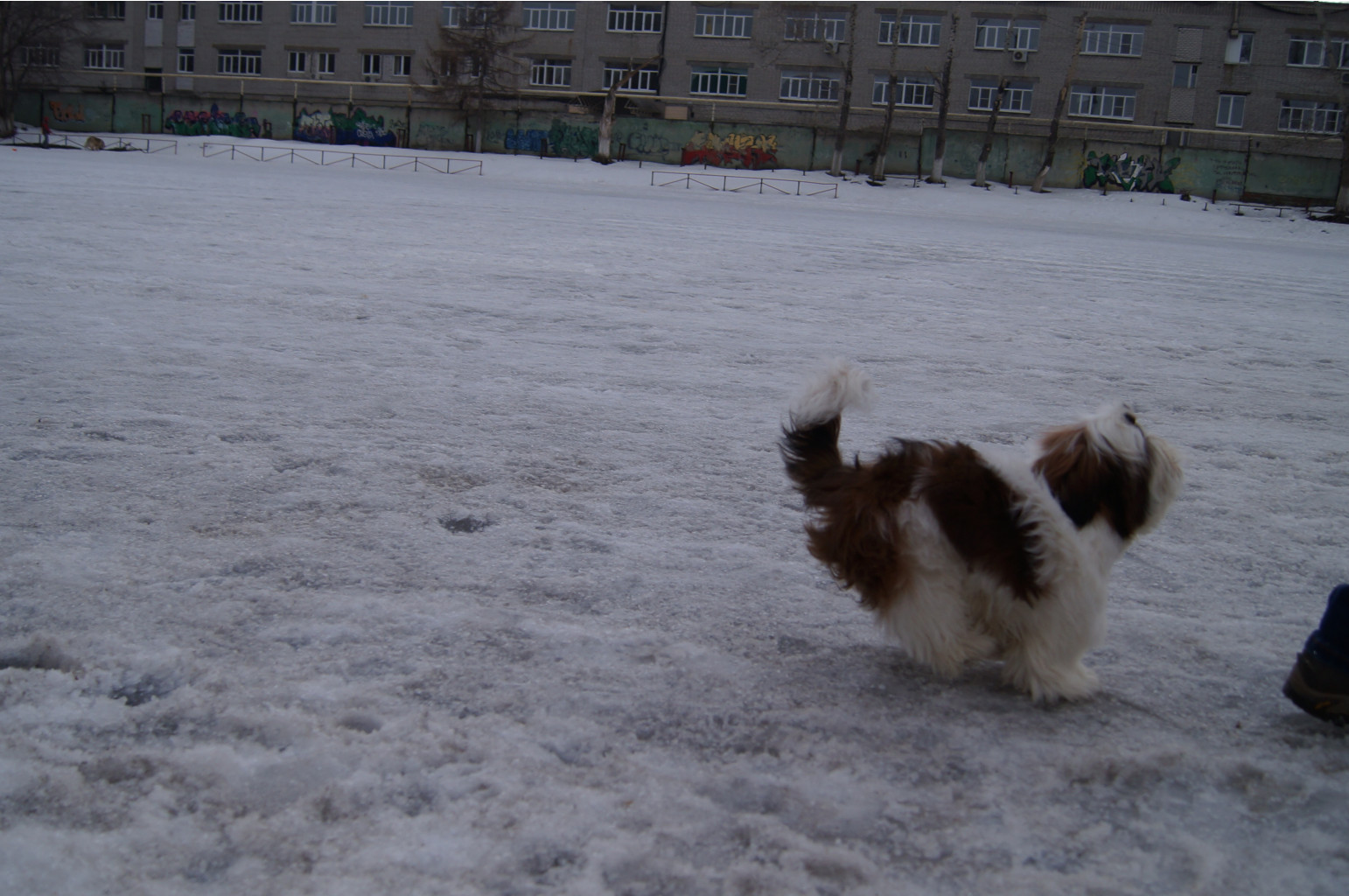 DSC04056.JPG