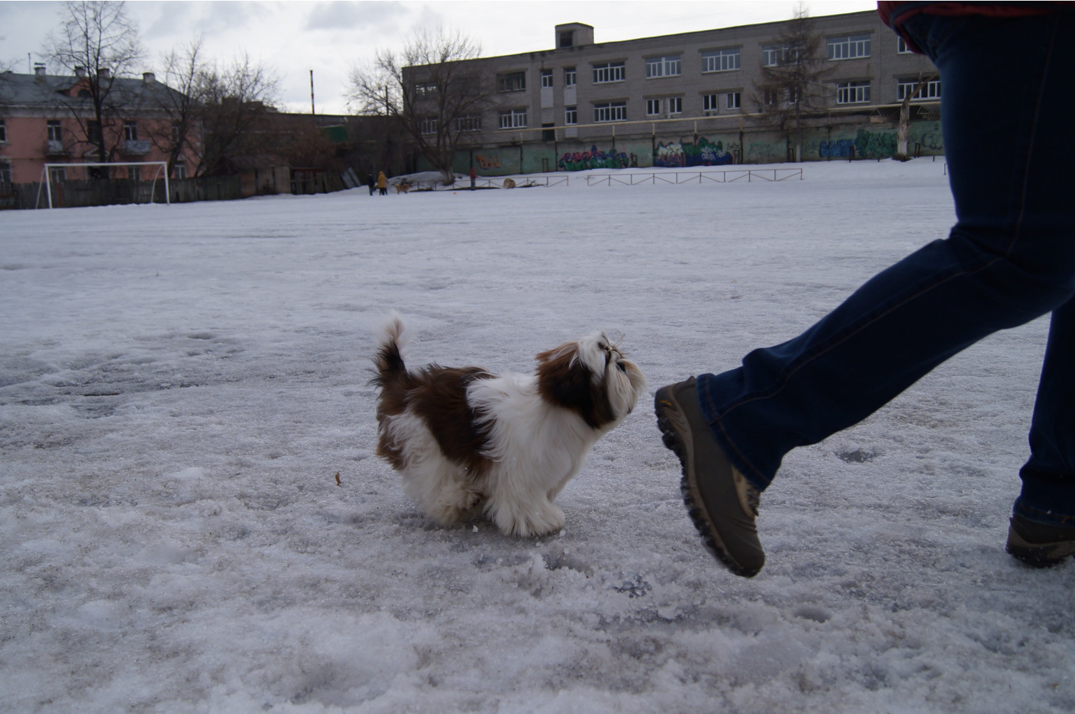 DSC04052.JPG