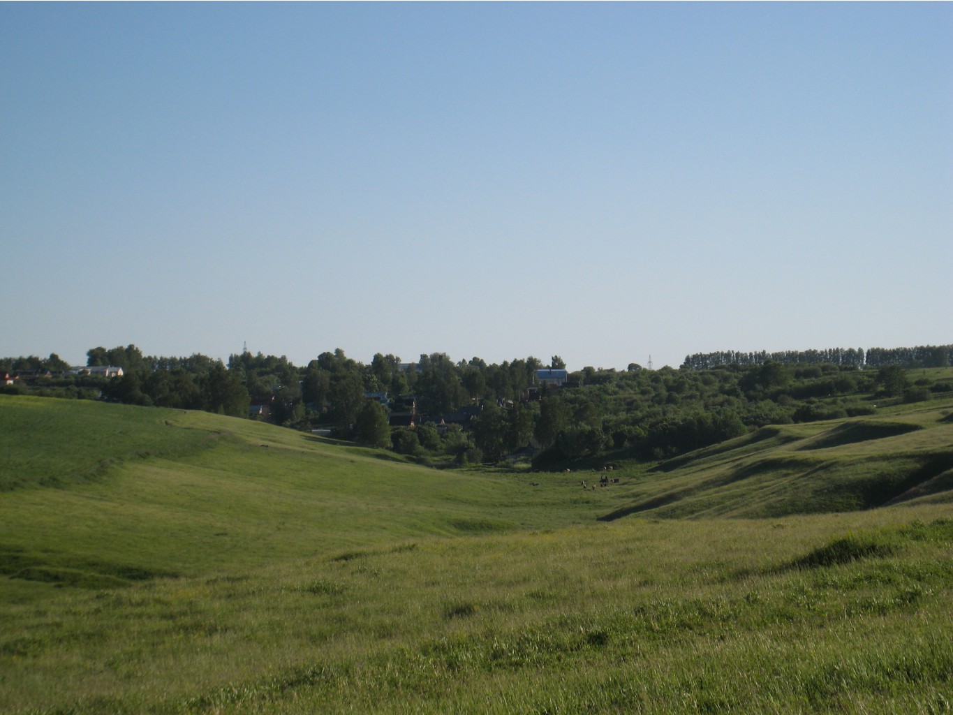 IMG 0403.JPG