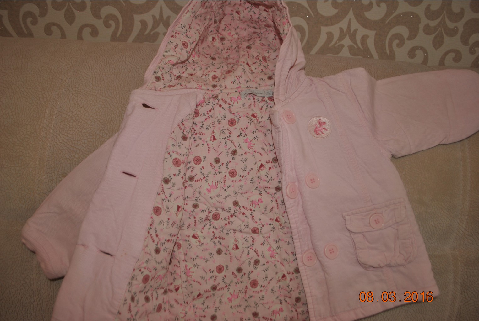 DSC 0101.jpg