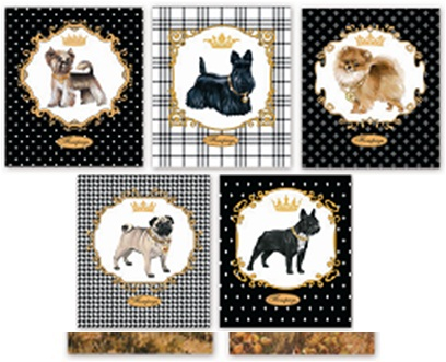 34101/5_ 48 .   /, . - , .- +.-, .,  /_20,55 +%