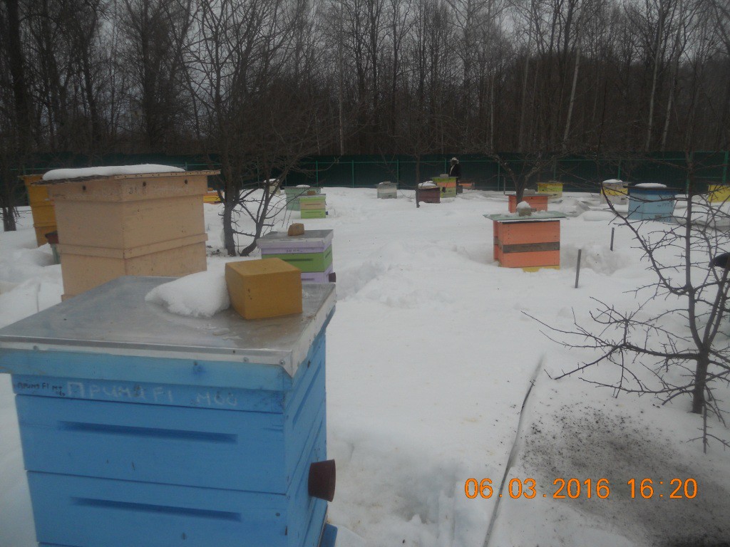 DSCN1045.JPG