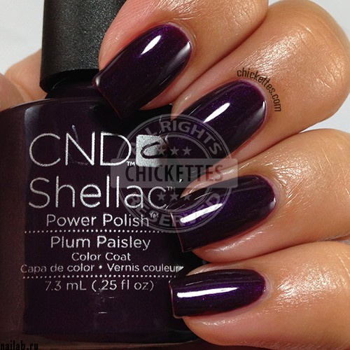 Shellac.Plum Paisley..