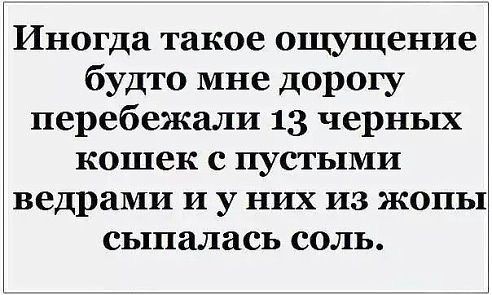 13 черных кошек с пустыми ведрами.jpg