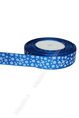     2,5  (25) 47-24 .jpg