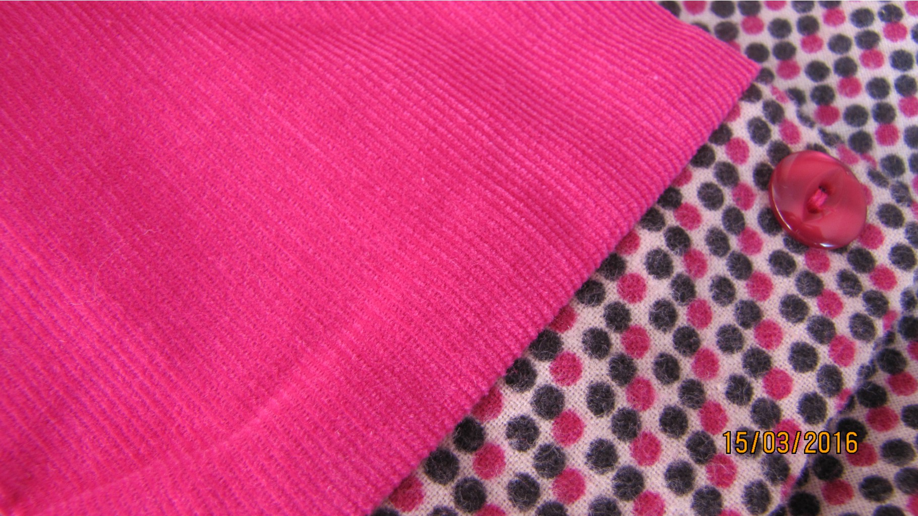 IMG 4979.JPG