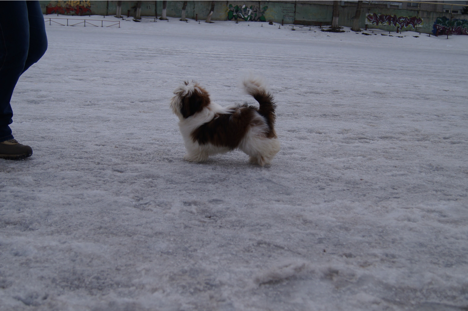 DSC04014.JPG