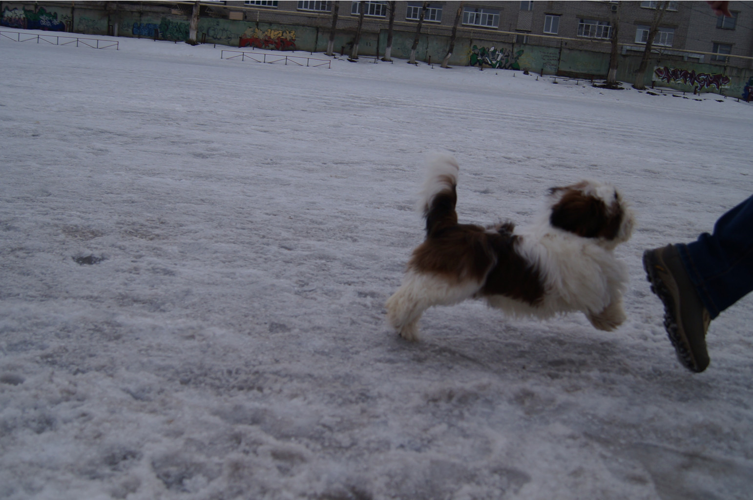 DSC04057.JPG