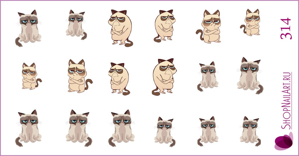 314 -  Grumpy cat.jpg