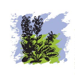 215 .  