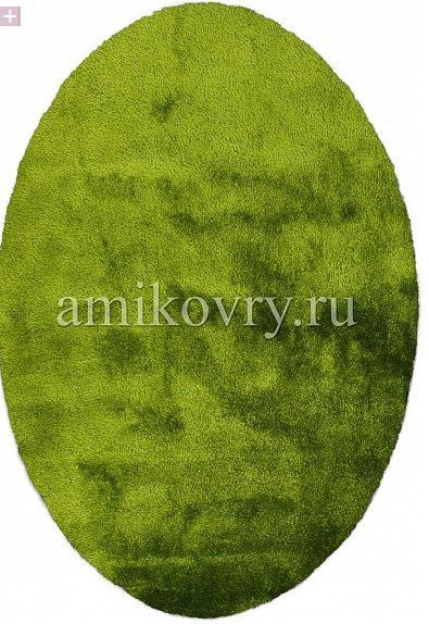  Sunny H55-green .png