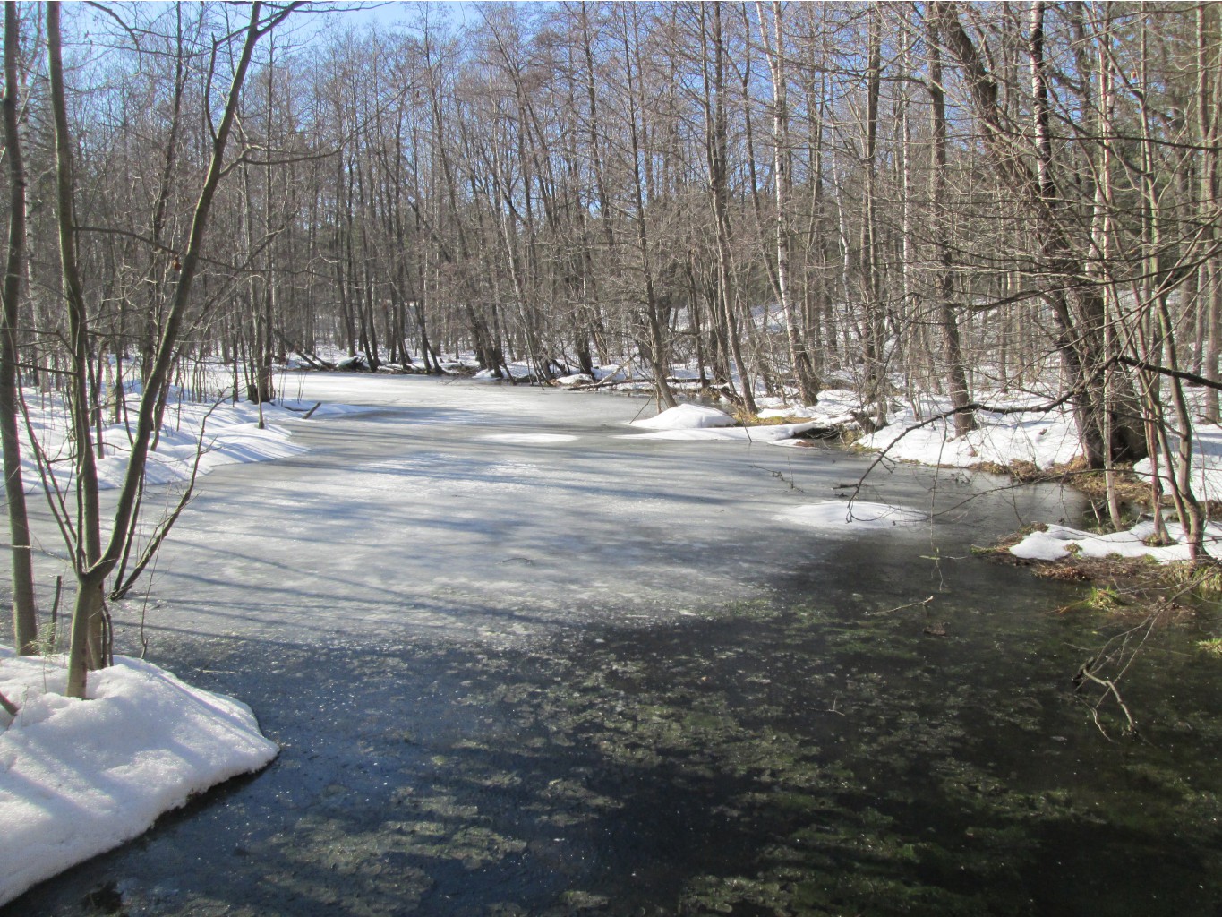 IMG 4189.JPG