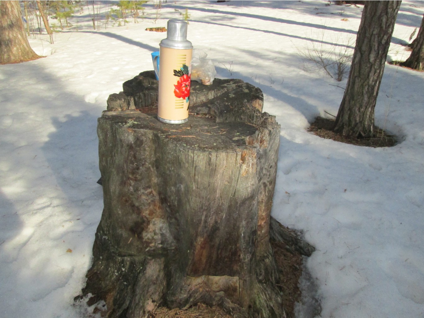 IMG 4208.JPG