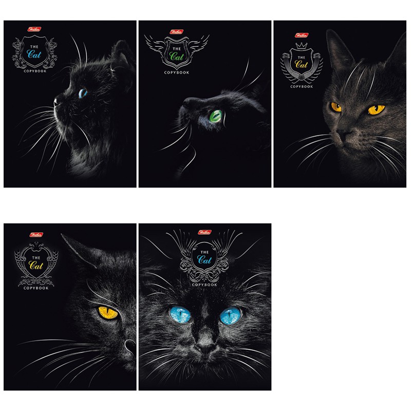  48. 5  Royal Cats,   18,45.jpg