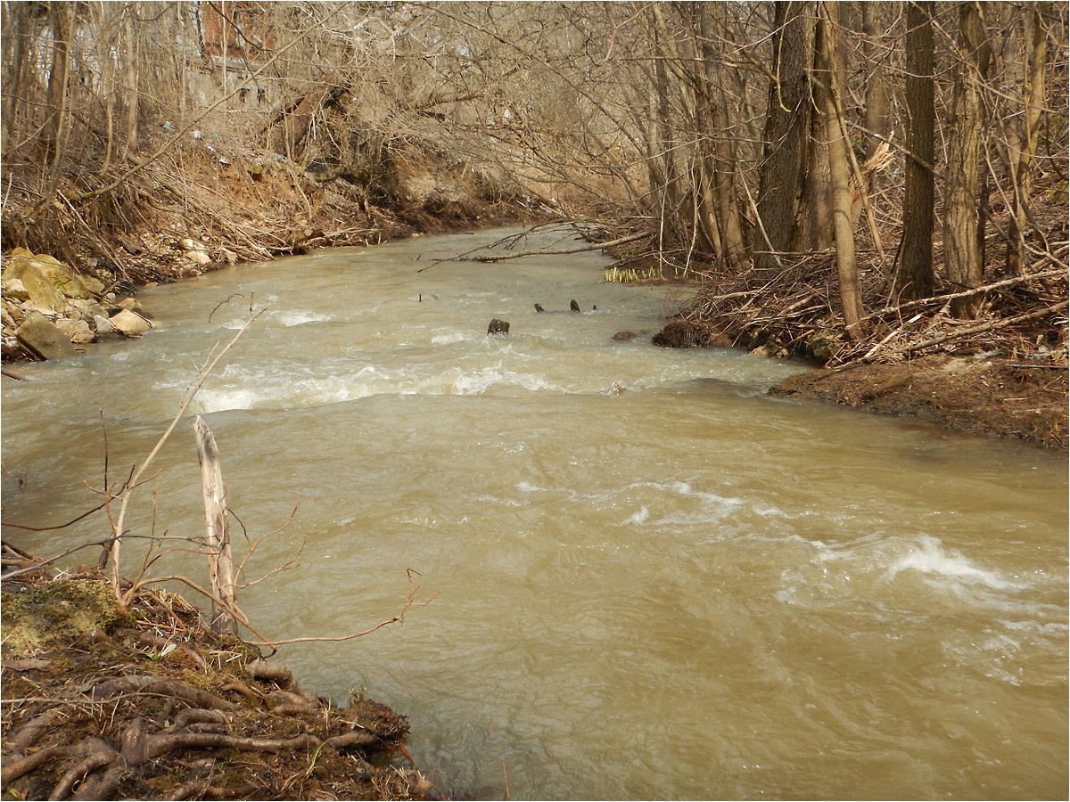 DSCN1264.jpg