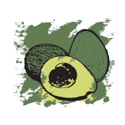 241 .  
