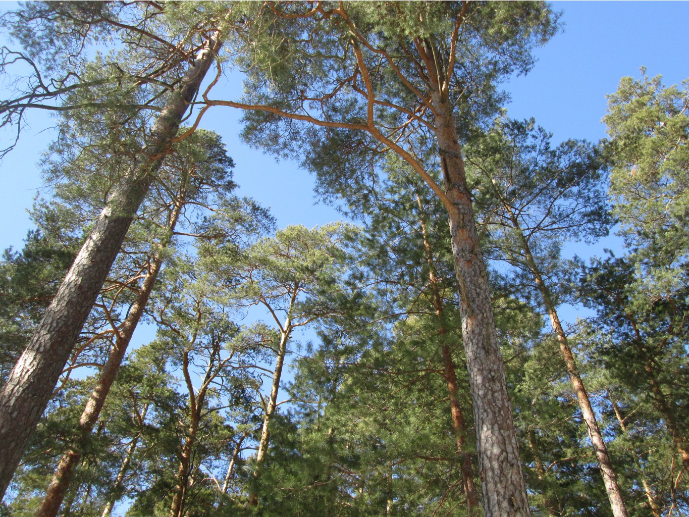 IMG 4177.JPG