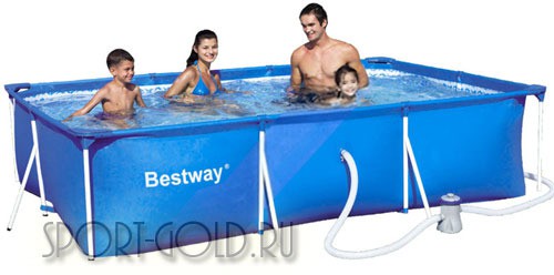     Bestway 56411 (- 58381, - 58093) 30020166, 3300.jpg