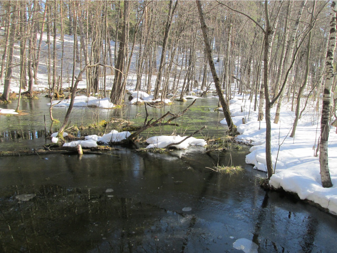 IMG 4192.JPG