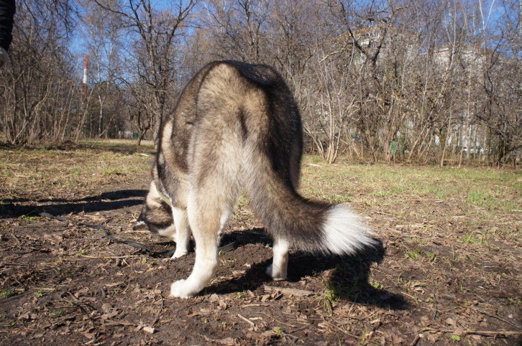 DSC08004.JPG