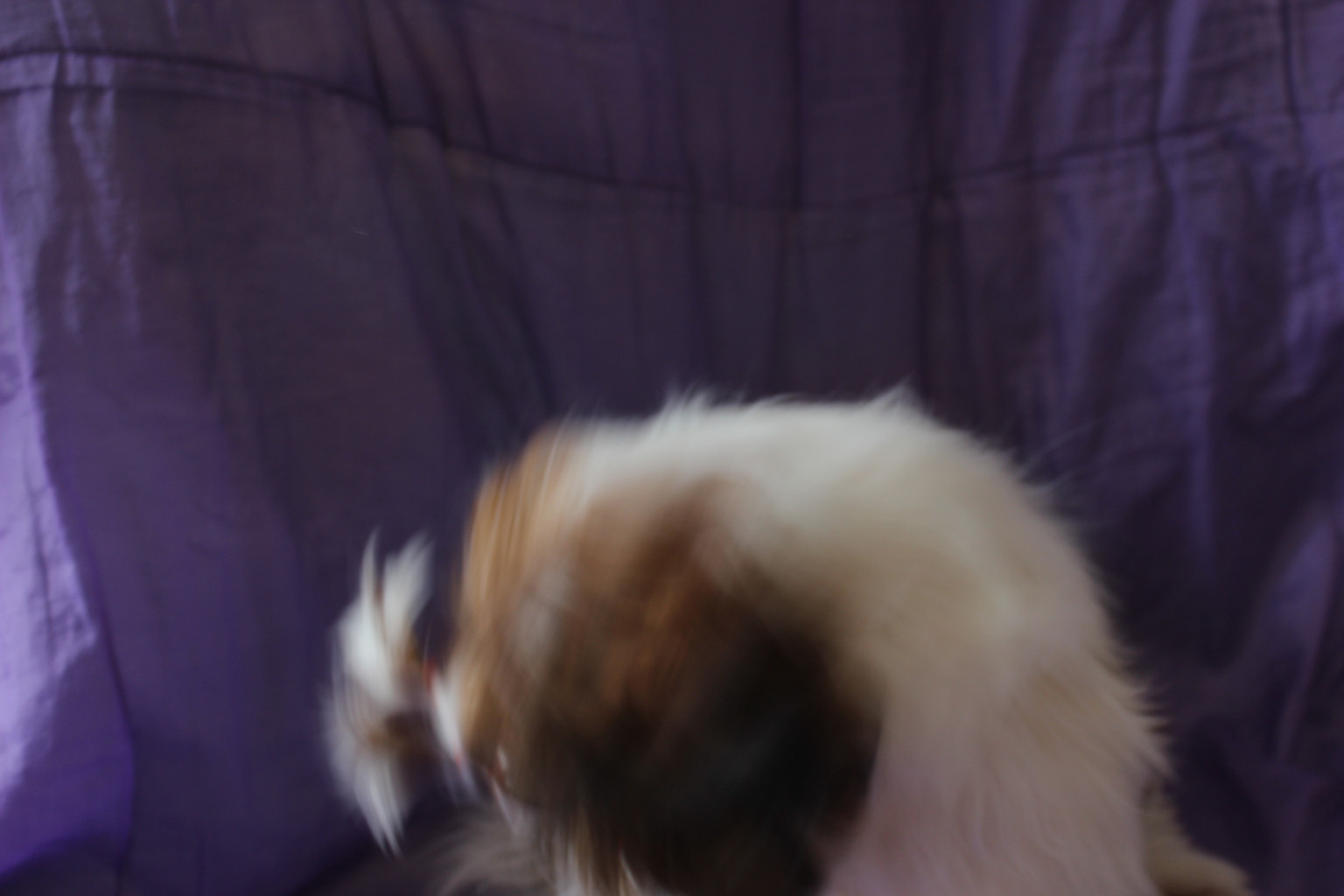 IMG 5116.JPG