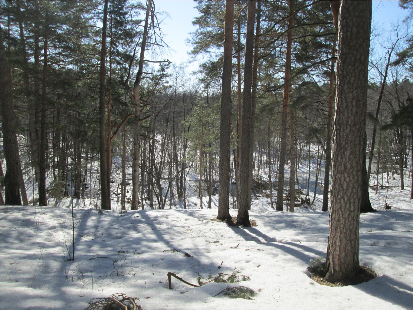 IMG 4180.JPG