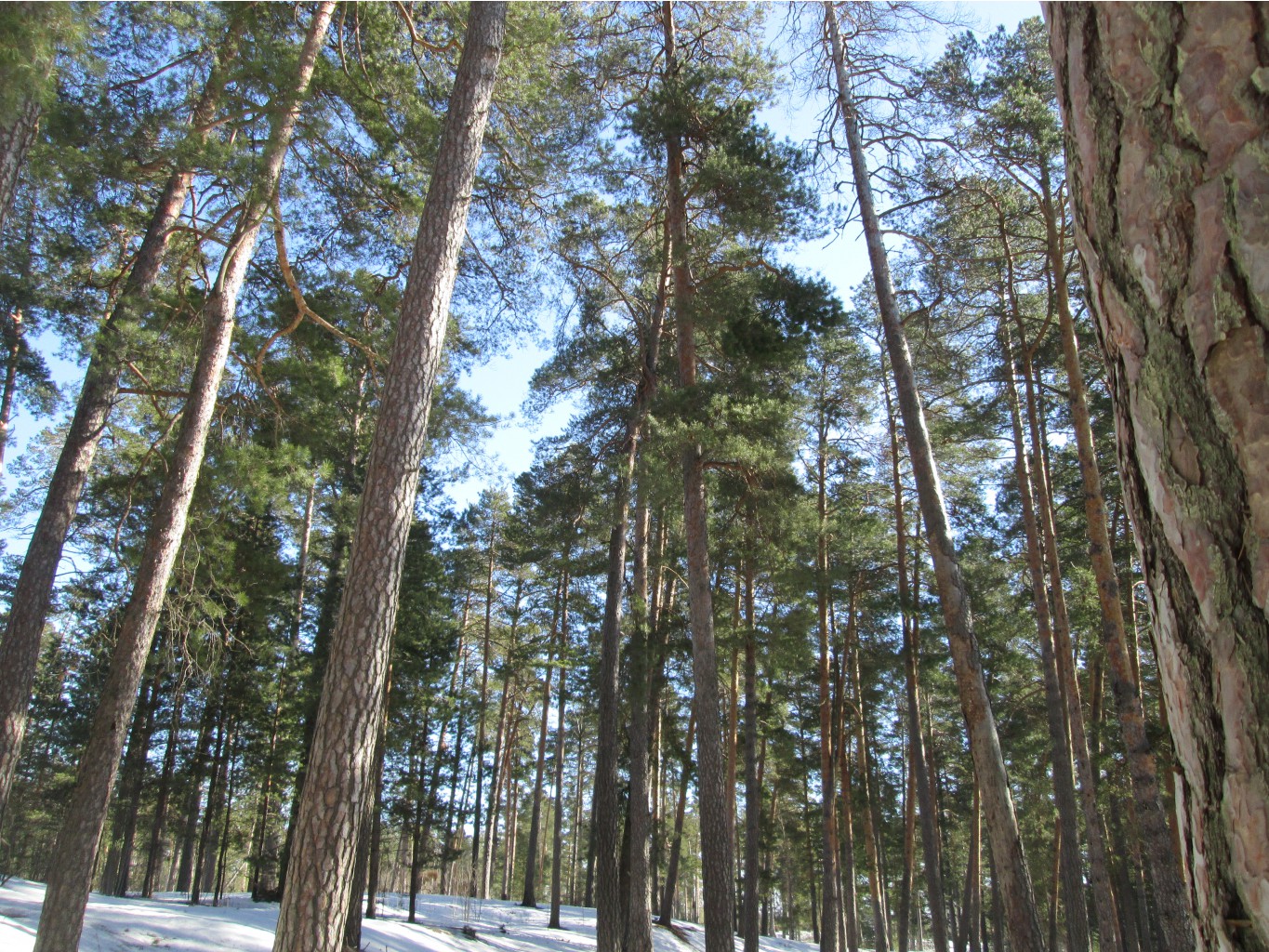 IMG 4179.JPG