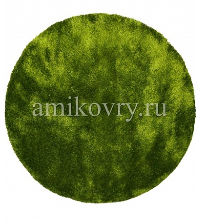  Sunny H55-green .png
