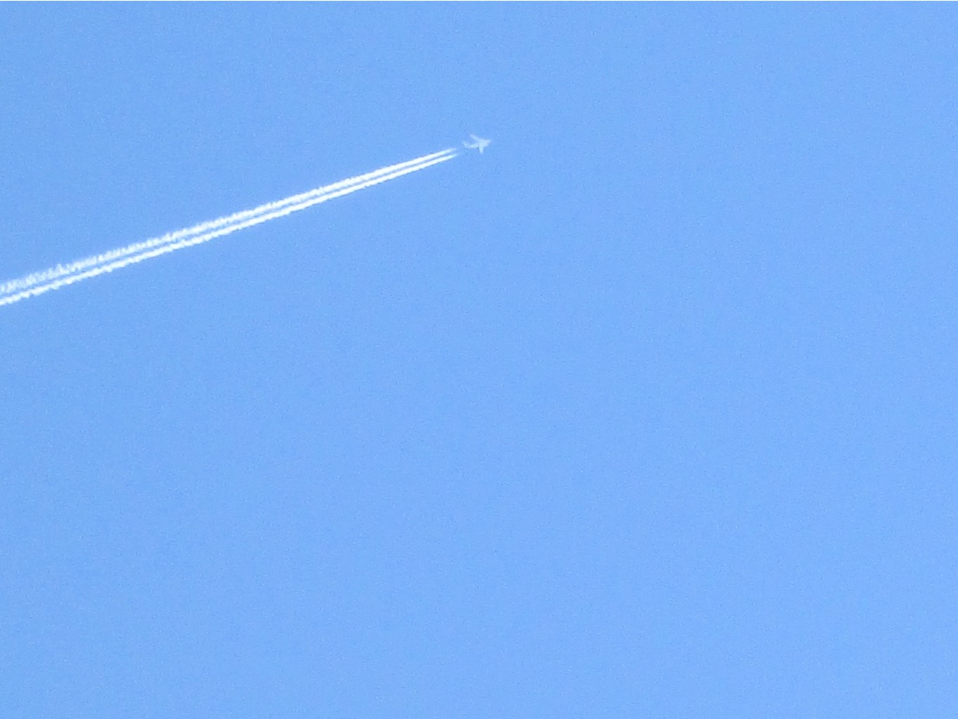 IMG 4214.JPG