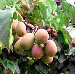     (V2) (, ,    , ).jpg