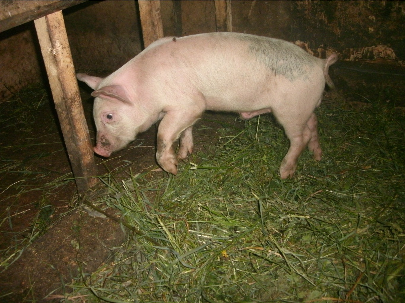 GEDC0457.JPG