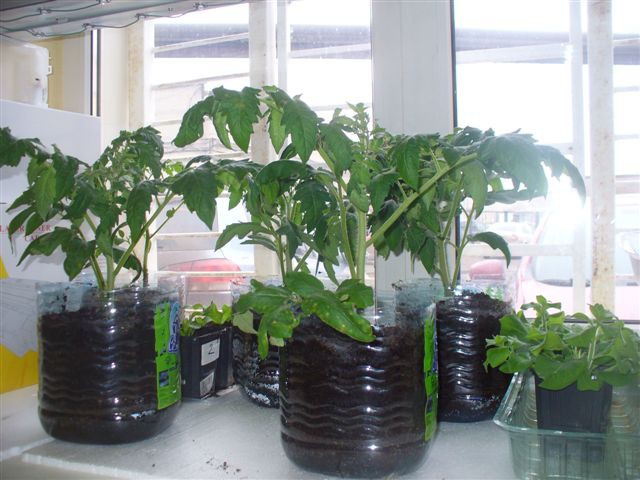 P1070864.JPG