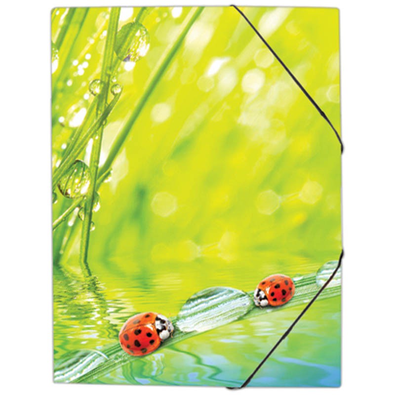    Ladybird 4, 550 76,76.jpg