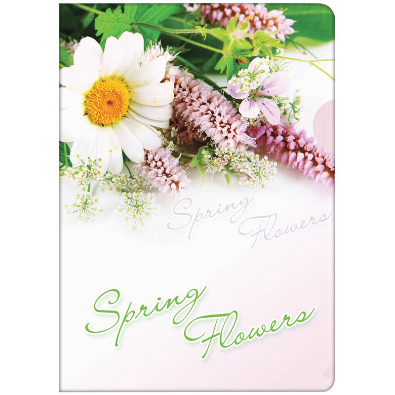 - 4 Spring Flowers 180 11,29.jpg